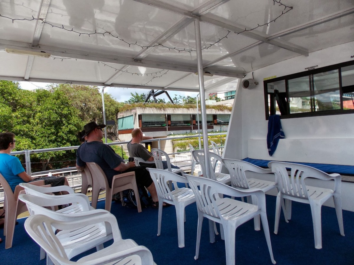Koala and River Cruise by Mirimar Cruises