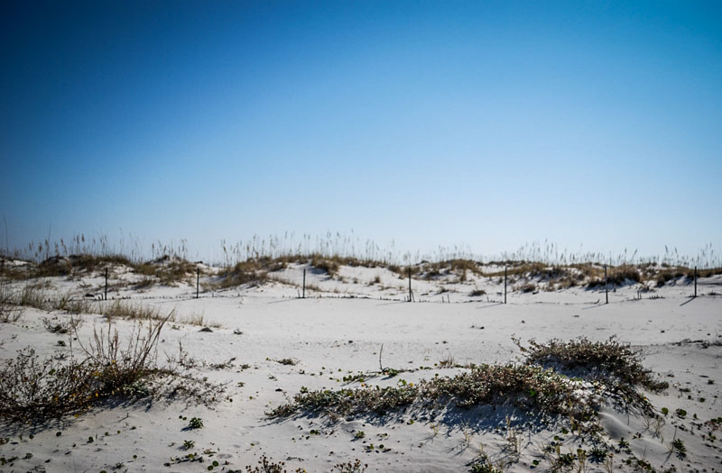 Explore Gulf Shores and Orange Beach Alabama