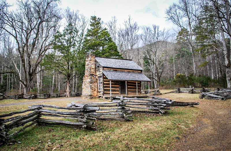 Chasing Wild Bears at Cades Cove in the Smokies