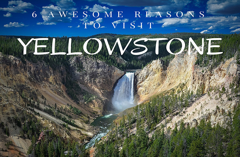 6 Things to See in Yellowstone You Need to Know About