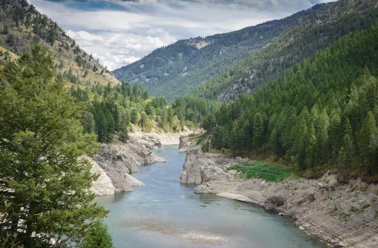 How to Enjoy the Drive from Salt Lake City to Yellowstone?