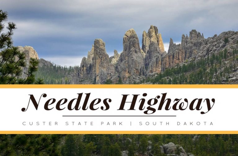 Why Is the Needles Highway Such An Amazing Experience?