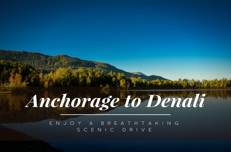 How to Enjoy the Spectacular Drive from Anchorage to Denali?