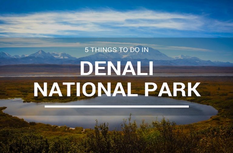 5 Things to Do in Denali National Park When You Visit