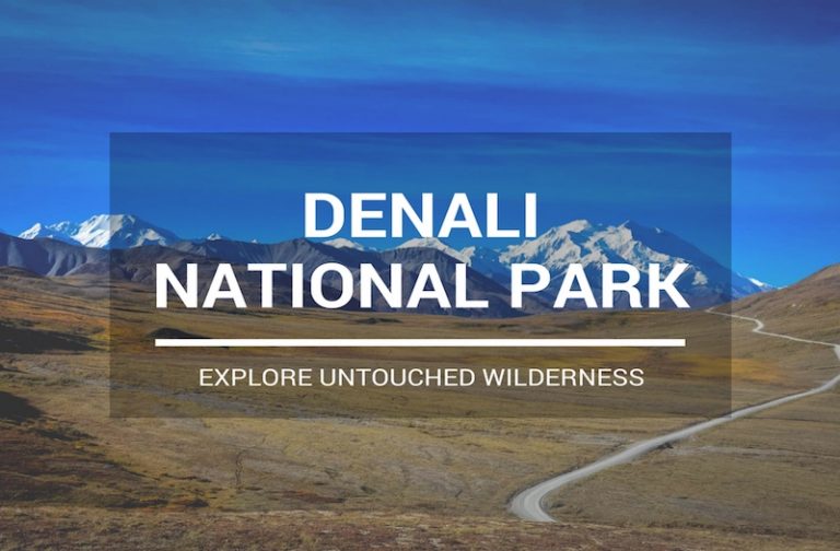 Denali National Park Tour – How to Make the Most of Your Visit?