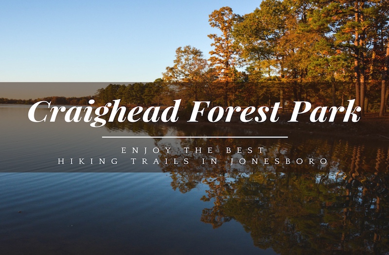 Craighead Forest Park A Guide To The Best Trails In Jonesboro 7558