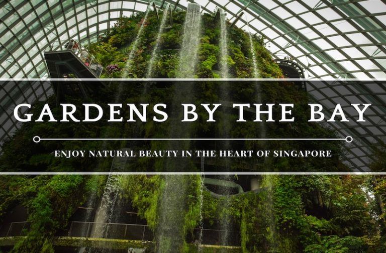 Gardens by the Bay Tour – How to Enjoy Nature in the City?