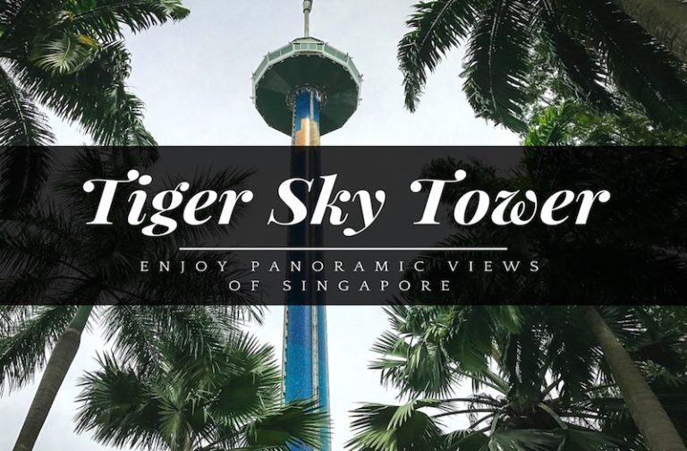 Tiger Sky Tower Review – How to Enjoy an Amazing Skyline?