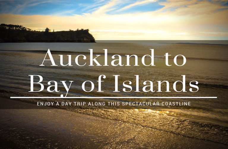How to Enjoy the Drive from Auckland to Bay of Islands?
