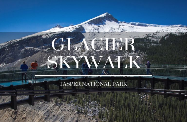 Why the Glacier Skywalk in Jasper Is the Ultimate Adrenaline Rush?