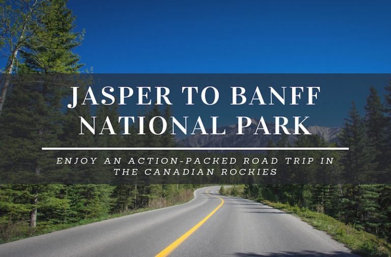 How to Enjoy the Amazing Drive from Jasper to Banff?