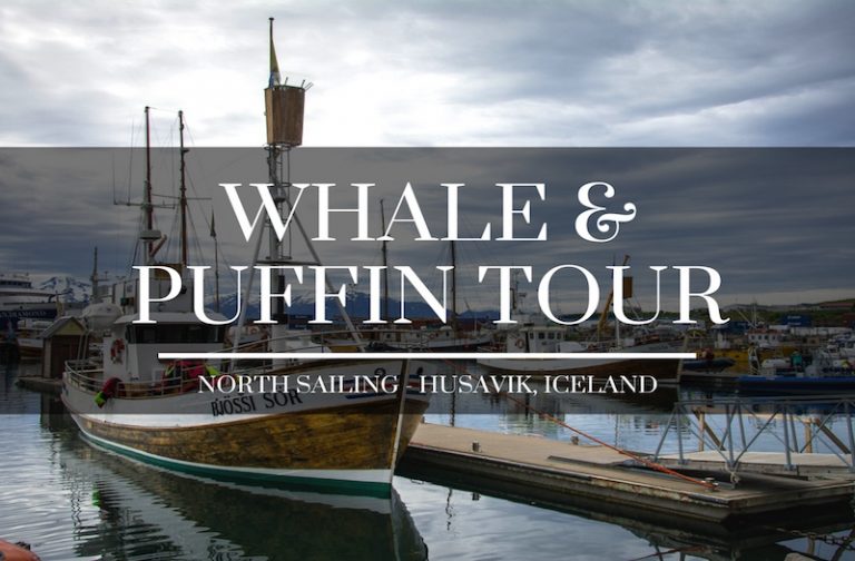 How to Enjoy an Amazing Whale and Puffin Tour in Iceland?