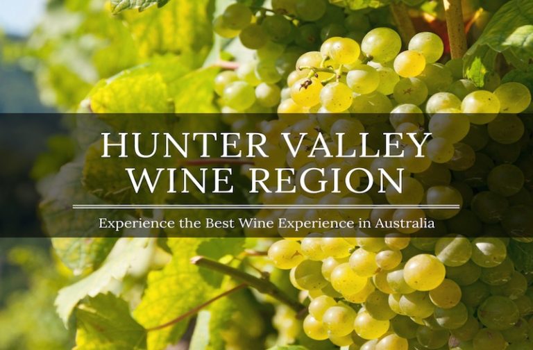 Visiting Sydney? Try Wine Exploring in the Hunter Valley Region in Newcastle