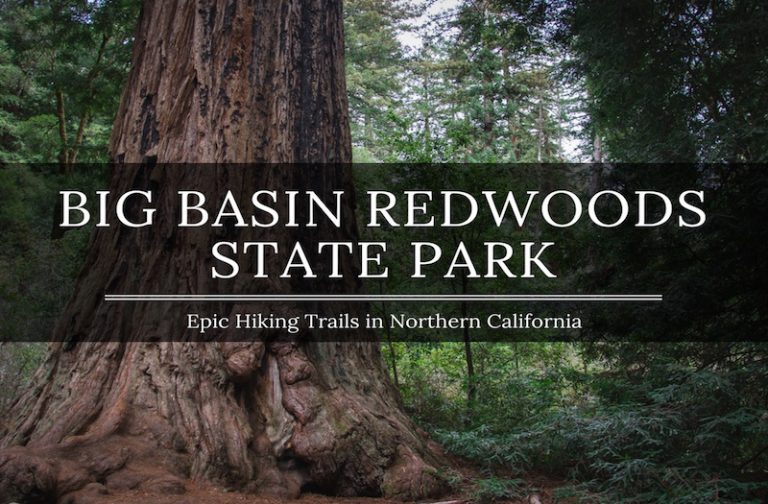 Big Basin Hiking – How to Enjoy an Amazing Redwood Trail