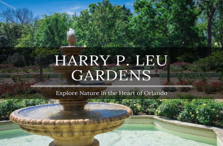 Leu Gardens – Explore the Best Floral Display in Orlando