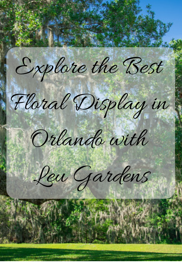 Botanical gardens are more than just a place to display a plethora of extravagant floral displays. Instead, they offer an opportunity for visitors to enjoy a peaceful haven of tranquility, away from the hustle and bustle of daily life and a secluded spot where everyone can gather their thoughts and truly appreciate the beauty of nature. Harry P. Leu Gardens, in the heart of Orlando’s metropolis, is the perfect example of a botanical garden that fits this category. #BotanicalGardens #LeuGardens