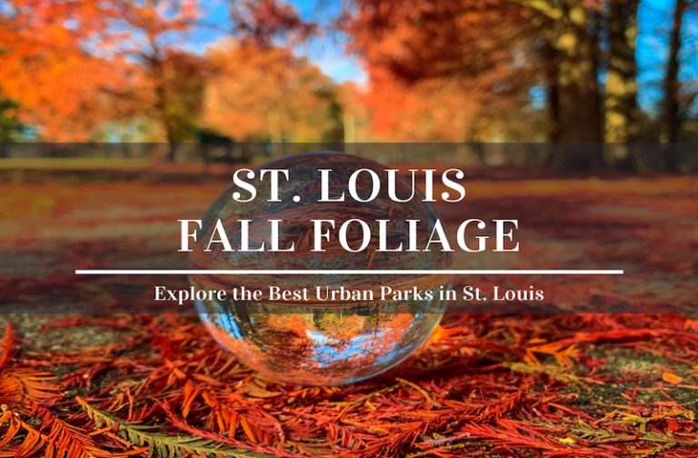 7 Awesome Parks to Enjoy the Best Fall Colors in St Louis