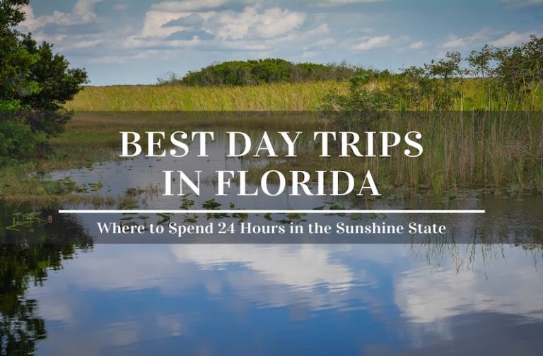 Best Day Trips in Florida – Enjoy Epic 24 Hour Experiences