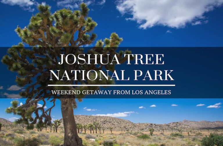 Los Angeles to Joshua Tree – Enjoy an Awesome Weekend Getaway
