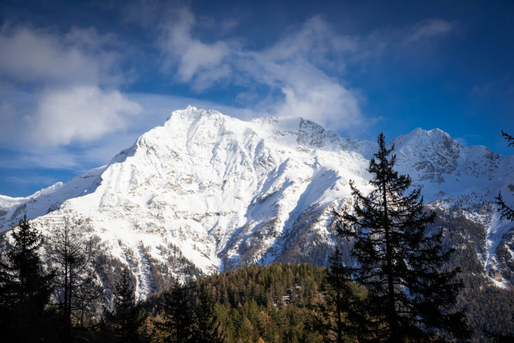 Bernina Express