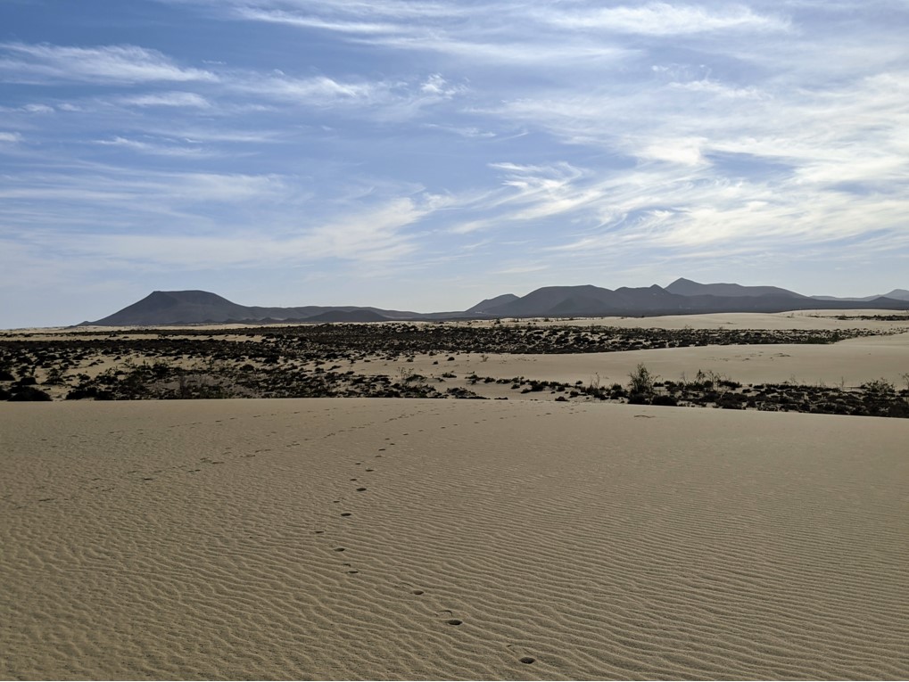 Fuerteventura canary islands