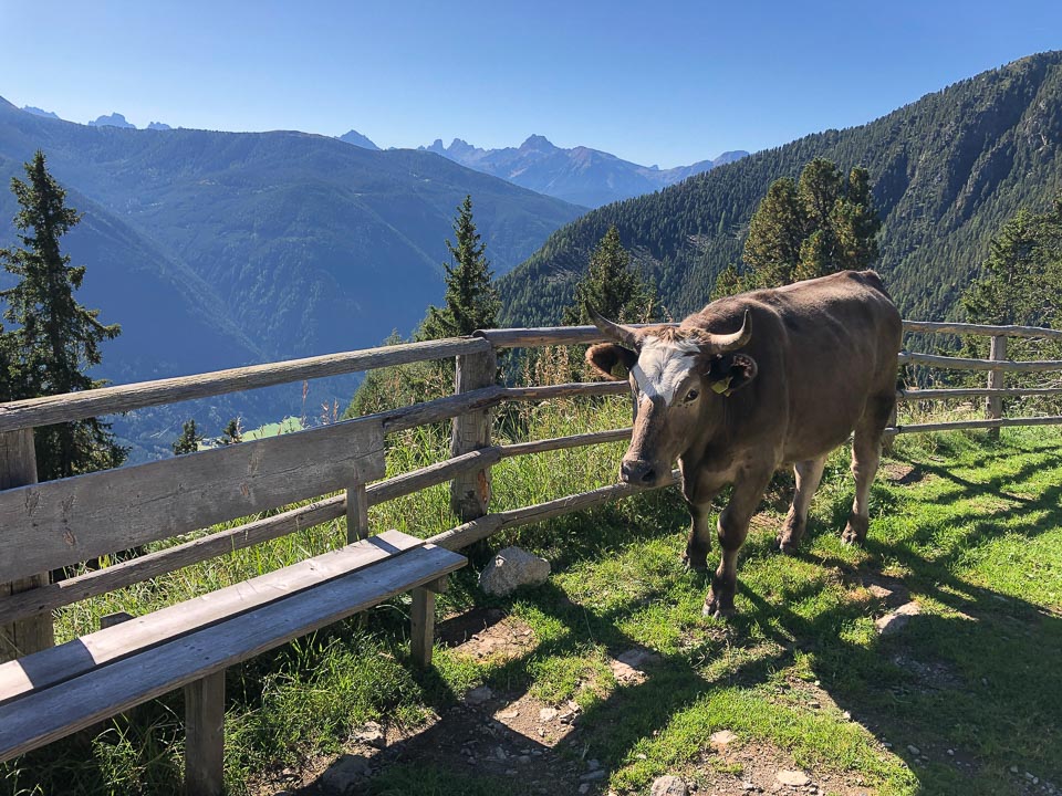 italian dolomites