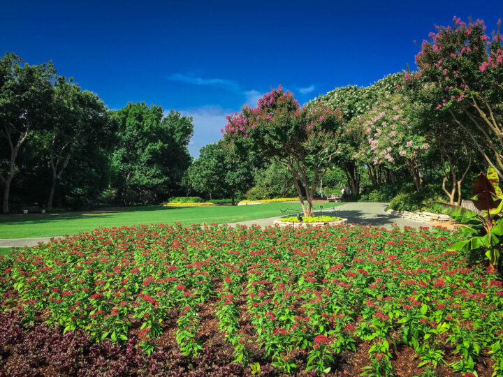 dallas arboretum