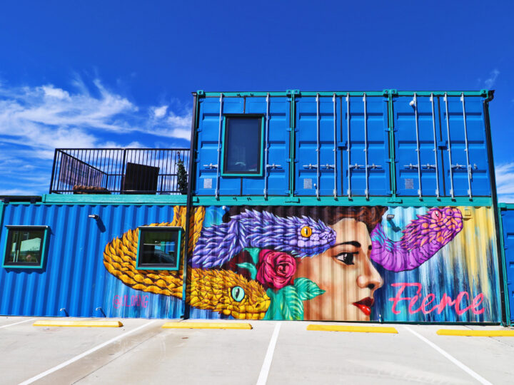 arte callejero de Fort Worth